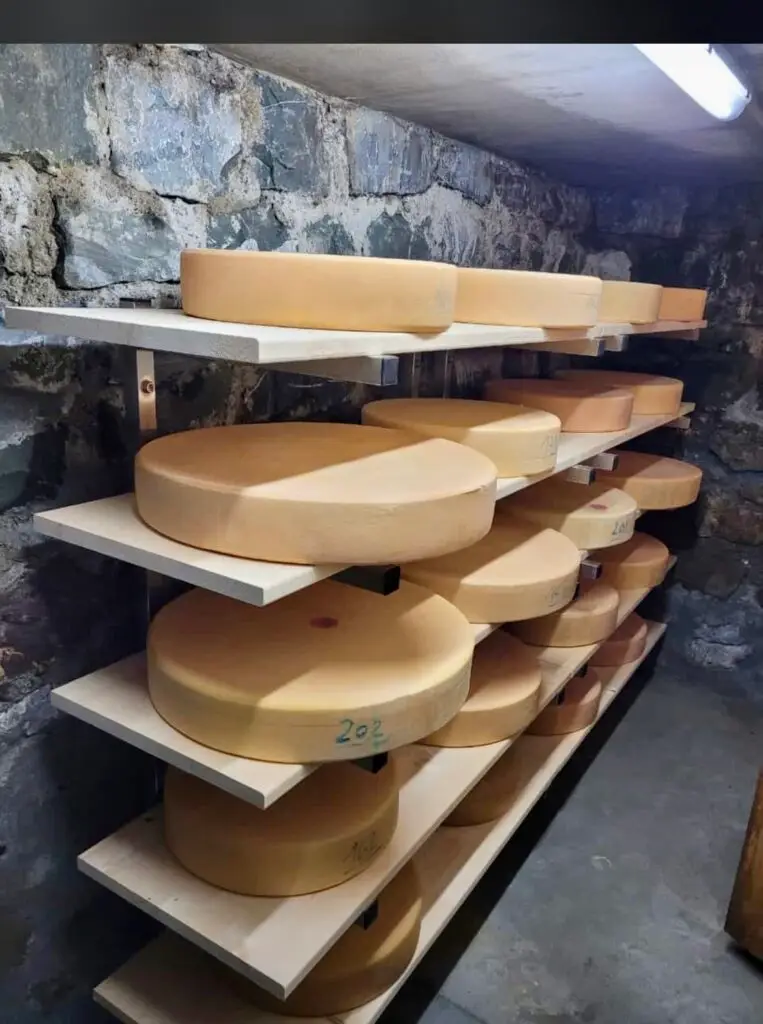 Bergkäse Alpe Latons