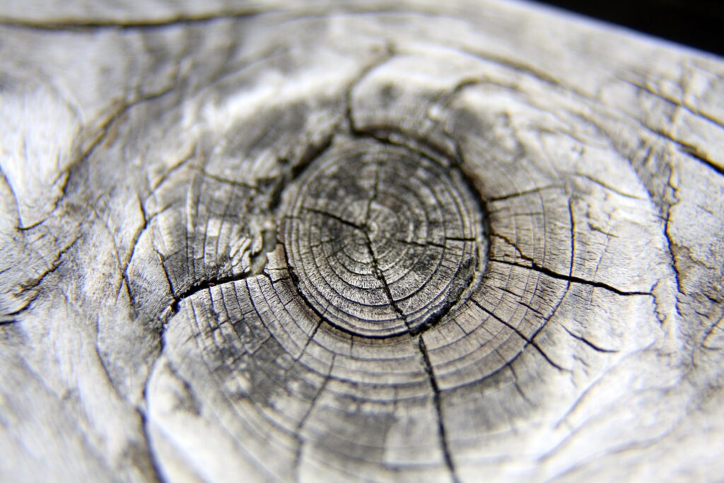 Montafon_HausBerta_Nachhaltigkeit