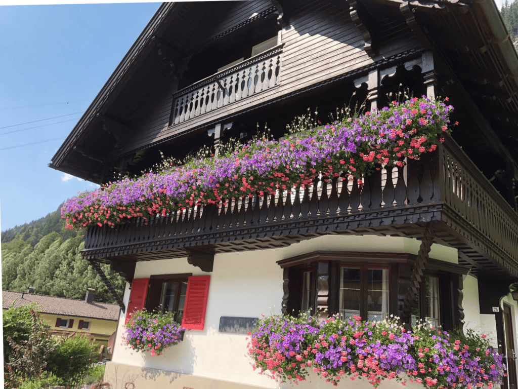 haus berta montafon sommer ansicht