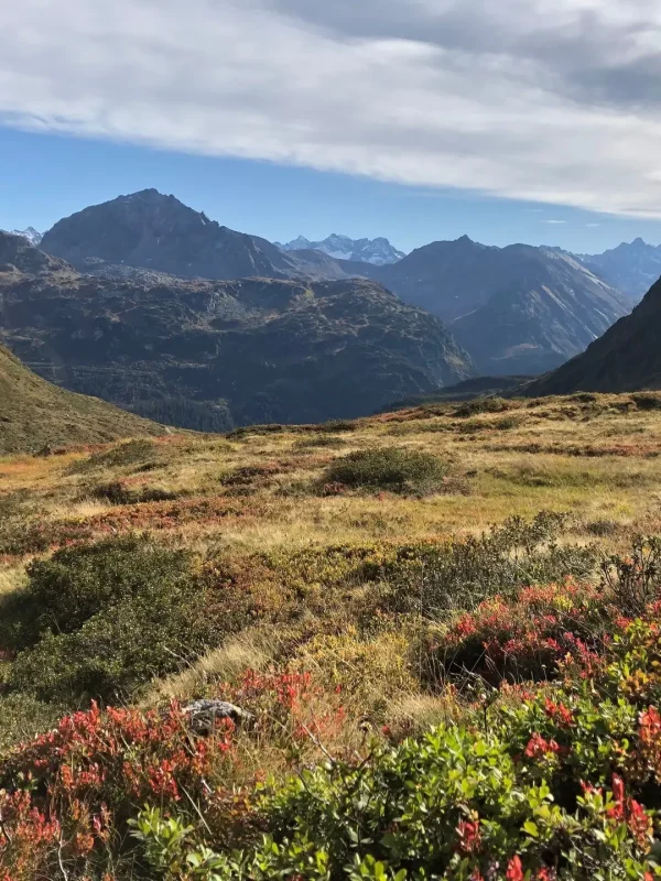 Silvretta im Herbst