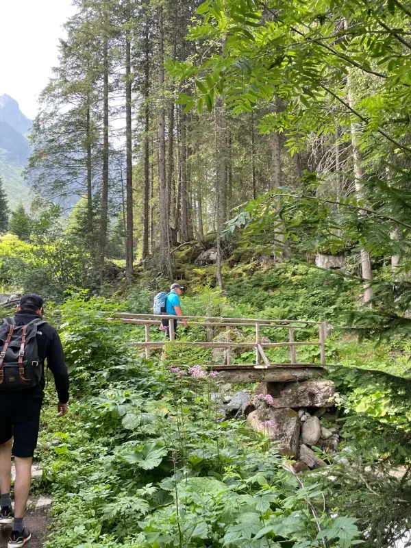 Gargellner Fenster Montafon