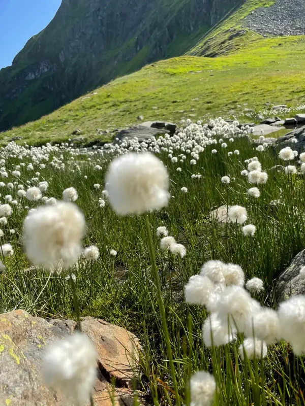 Wanderung Zamangspitze