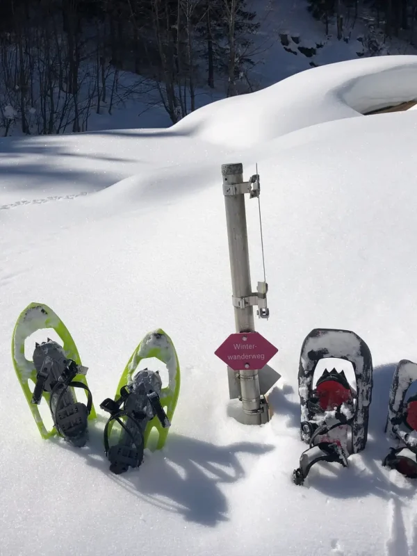 Schneeschuhwandern Montafon
