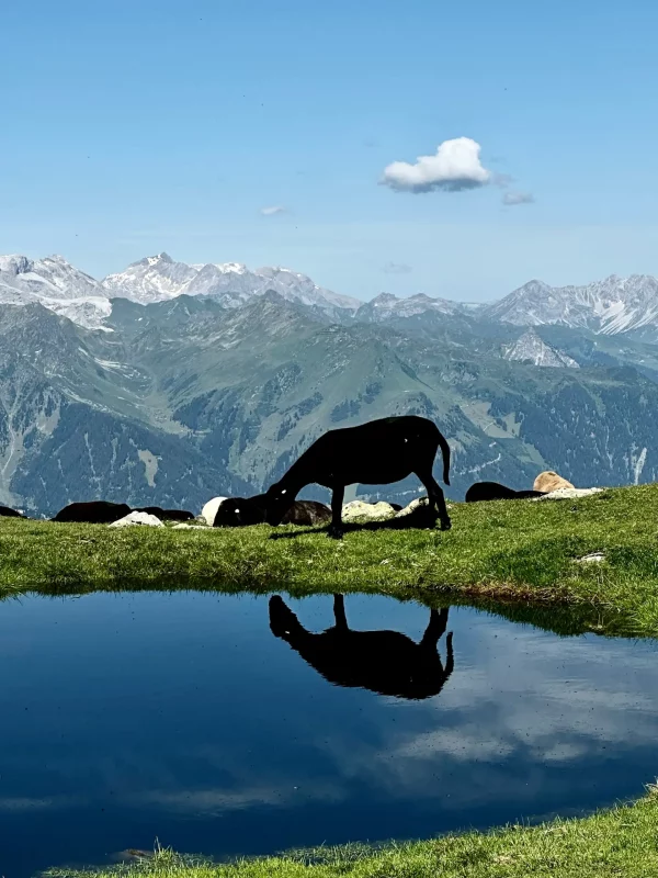Wanderparadies Montafon