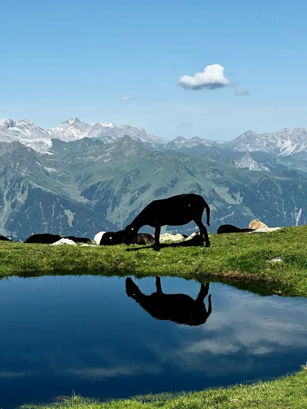 Wanderparadies Montafon
