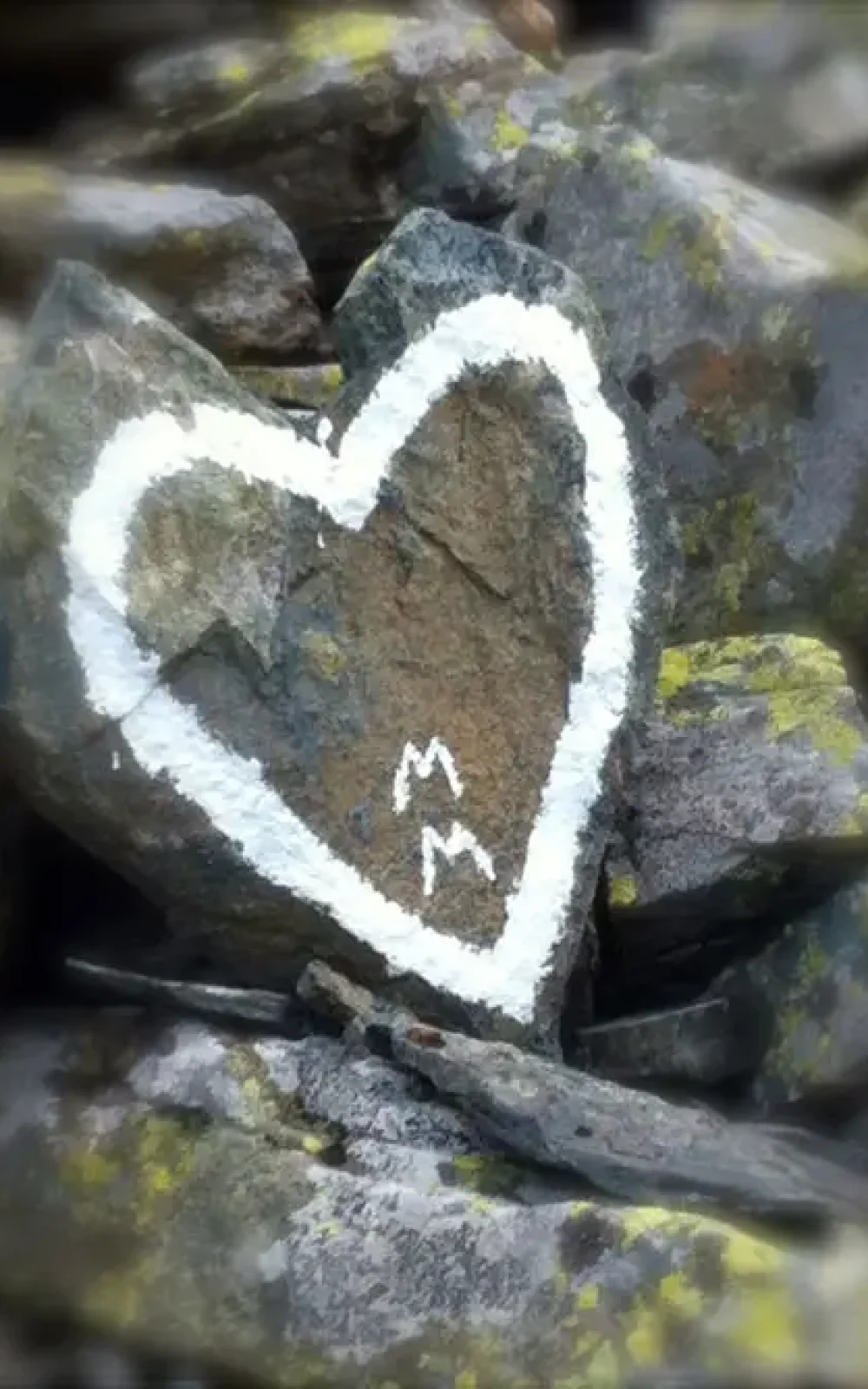 Montafon Herz